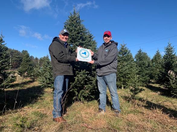 The New York State Department of Agriculture wants you to get your Christmas tree from a New York State tree farm.